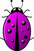 Image result for Beetles Insect Cartoon