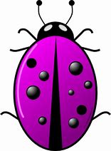 Image result for Cute Cricket Clip Art