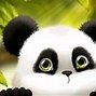 Image result for Wallpaper HD Cartoon Panda