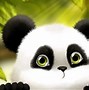 Image result for Adorable Cartoon Panda