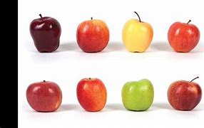 Image result for Small Medium and Large Apple
