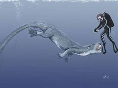 Image result for Giant Otter Human