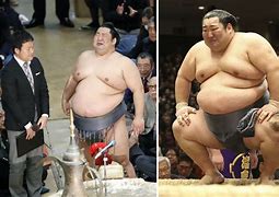 Image result for Sumo Wrestling People