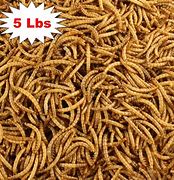 Image result for Dried Mealworms for Chickens