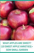 Image result for Annah Habana Sweet Apple