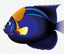 Image result for Hawaiian Fish Clip Art