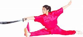 Image result for Kung Fu Styles List