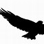Image result for Bald Eagle Silhouette