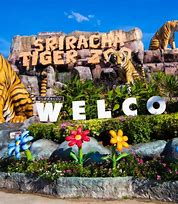 Image result for Sriracha Tiger Zoo
