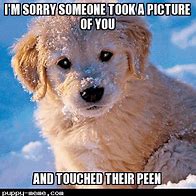 Image result for Welp Meme Puppy