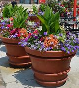 Image result for large outdoor containers