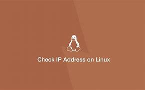 Image result for IP Address Checker