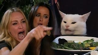 Image result for White Cat Dinner Meme