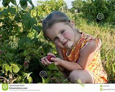 Image result for Raspberry Collection Girls