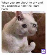 Image result for Holding in Tears Meme