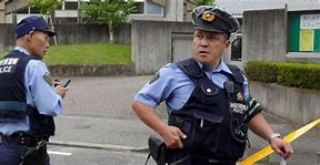 Image result for Japanese Police Hat