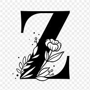 Image result for Fancy Small Letter Z