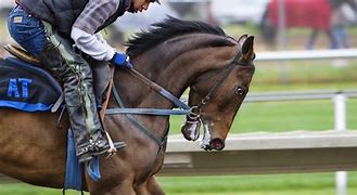 Image result for Horse Race Track