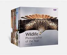 Image result for Wildlife Photography Books