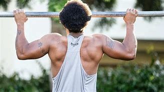 Image result for Scalpular Pull Up Muscles