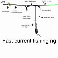 Image result for Narragansett Bay Fishing Rig