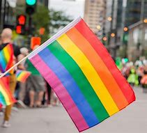 Image result for Colorful Pride Flags