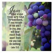 Image result for He Is the Vine We Are the Branches