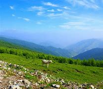 Image result for Wutai Mountain China