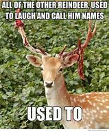 Image result for Man Deer Meme