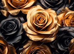 Image result for Black and Gold Roses