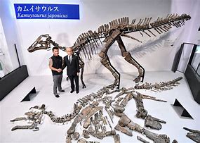 Image result for Japan Water Dinosaur