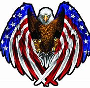 Image result for Bald Eagle with American Flag Decal