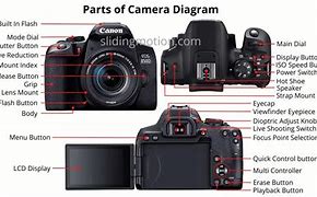 Image result for Different Parts of a Nikon Camera
