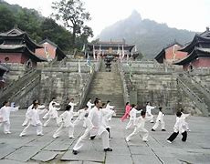 Image result for Wudang Shaolin