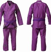 Image result for Mixed Martial Arts Styles
