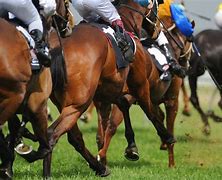 Image result for British Horse Racing