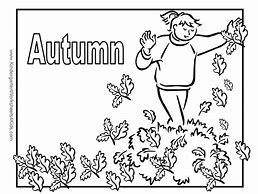 Image result for Fall Leaves Preschool Activities