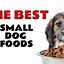 Image result for What Is the Best Dog Food for Small Dogs