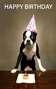 Image result for Dog Birthday Jokes