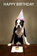 Image result for Funny Dog Birthday Wishes