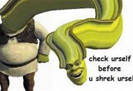 Image result for Funny Memes with Shrek