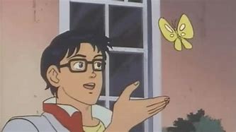 Image result for Guy with Butterfly Meme