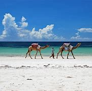 Image result for Kenya Beaches