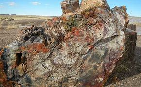 Image result for Petrified Forest Arizona