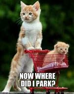 Image result for Funny Amazon Cart Full Memes