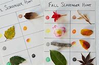 Image result for Autumn Color Hunt