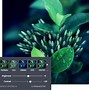 Image result for Online Camera Filters. Free