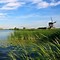 Image result for Nederlands Nature