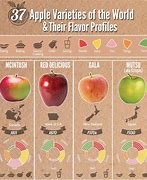 Image result for Black Apple Varieties