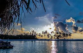 Image result for Palm Tree Sunset Landscape